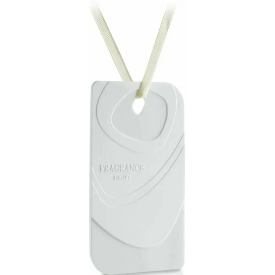 Ароматизатор для дома Fragrant Card Citrus dream А 6003 АЕР (1/320)