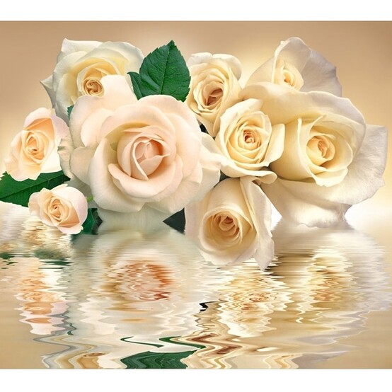 Фотообои бумажные Белые розы 12 листов 294*260 в тубе