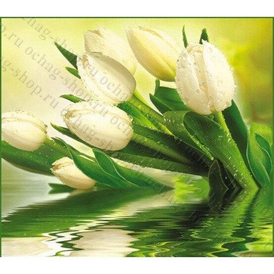 Фотообои бумажные Белые тюльпаны 12 листов 294*260 в тубе
