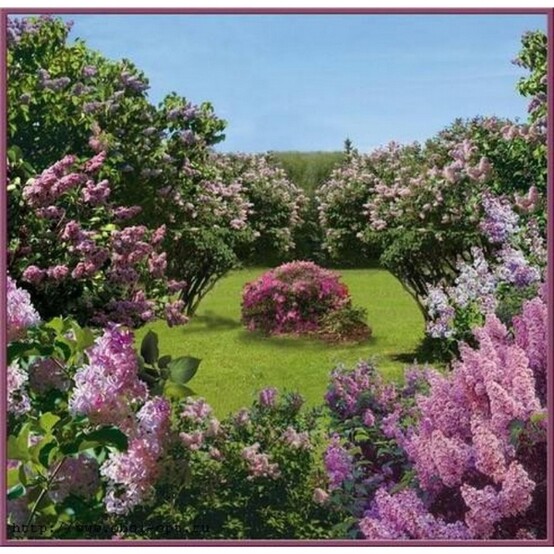 Фотообои бумажные Весенний сад 6 листов 200х201