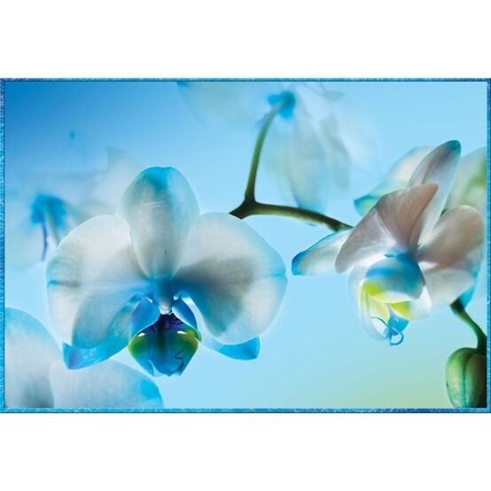 Фотообои бумажные Голубая орхидея 4 листа 196х134