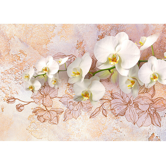 Белоснежная орхидея Фотообои 9л 294х201см (Тула)