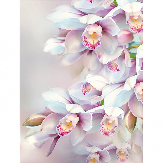 Нежная орхидея Фотообои 8л 196х260см (Тула)